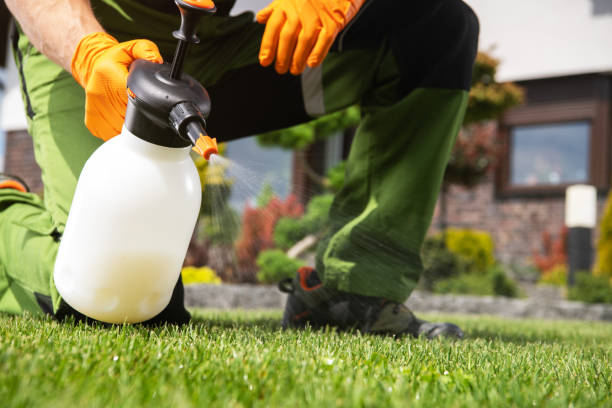 Best Commercial Pest Control Services  in Flower Hill, NY